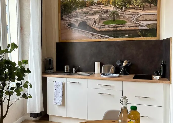 L'arche Nimoise - Coeur Historique